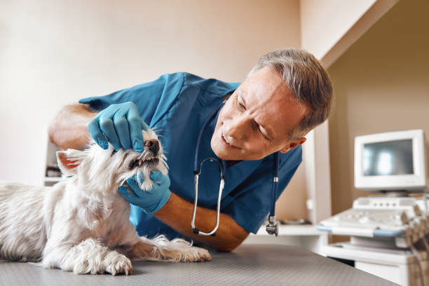 Best Emergency Treatment for Dental Infections or Abscesses in Nashua, NH
