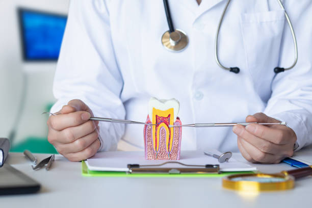Best Pediatric Emergency Dentist in Nashua, NH